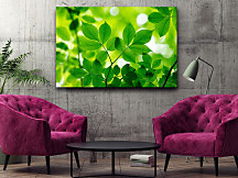 zelený obraz s listami